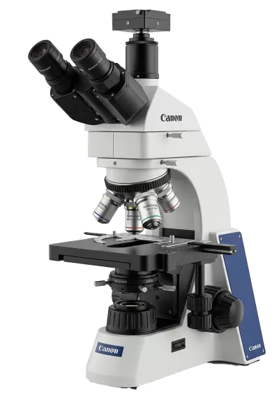 Imagen PNG para descargar